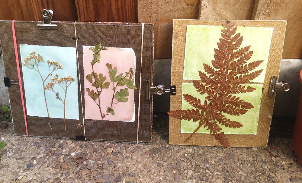 Atelier – Les anthotypes