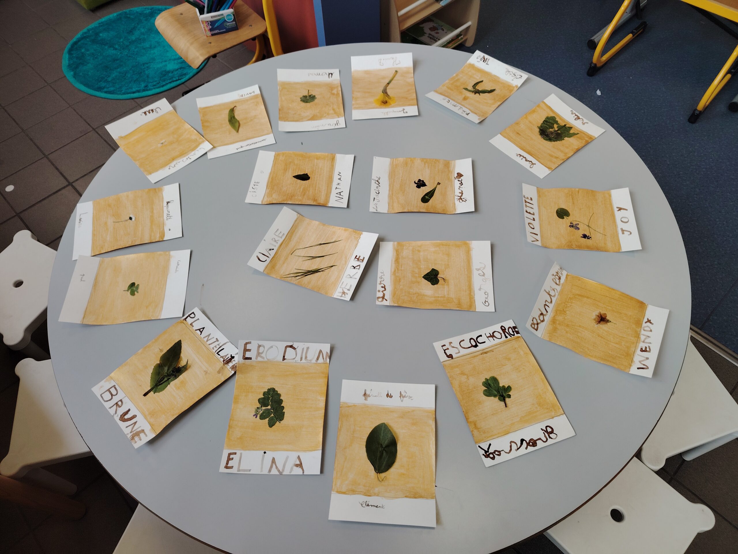 Réalisons l&rsquo;herbier de l&rsquo;école Raymond Poincaré !